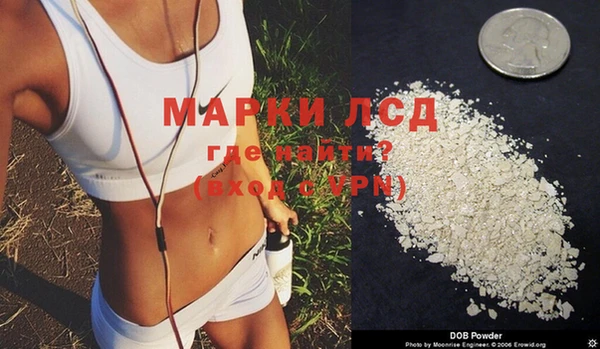 прущие грибы Навашино