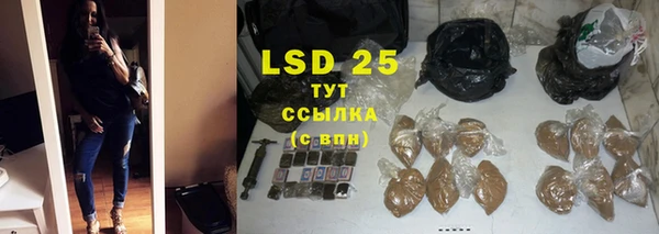 ПСИЛОЦИБИНОВЫЕ ГРИБЫ Нея
