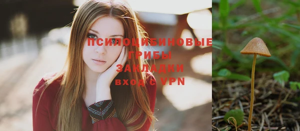 ПСИЛОЦИБИНОВЫЕ ГРИБЫ Нея