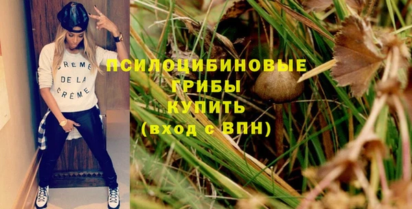ПСИЛОЦИБИНОВЫЕ ГРИБЫ Карпинск