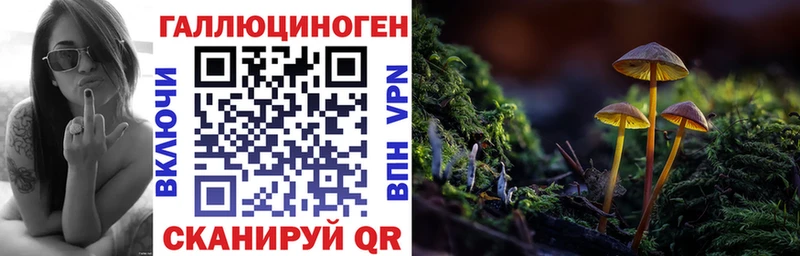 Галлюциногенные грибы ЛСД  где купить   Кувандык 