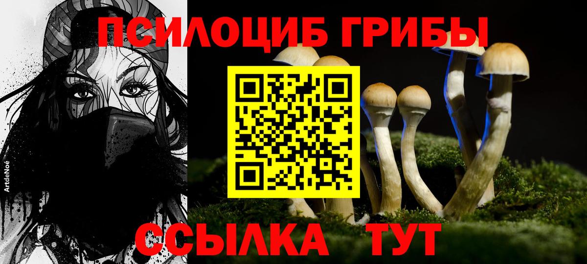 Галлюциногенные грибы Psilocybe  Галлюциногенные грибы прущие грибы  Кувандык  Вход с VPN 
